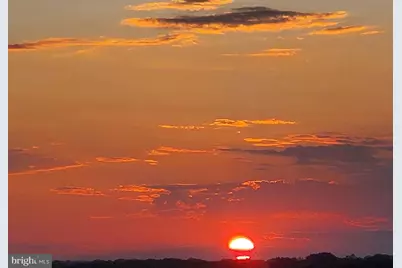 203 Yoakum Parkway #1807, Alexandria, VA 22304 - Photo 31