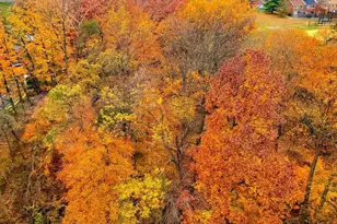 203 Yoakum Pkwy, Alexandria, VA 22304 - Photo 1