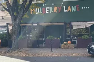 565 E Nelson Ave, Alexandria, VA 22301 - Photo 31