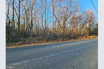 0 Physic Spring Road, Dillwyn, VA 23936 - Photo 13