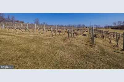 4204 Old Fincastle Rd, Fincastle, VA 24090 - Photo 75