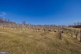 4204 Old Fincastle Rd, Fincastle, VA 24090 - Photo 75