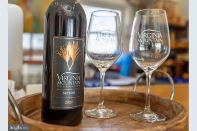 4204 Old Fincastle Rd, Fincastle, VA 24090 - Photo 49