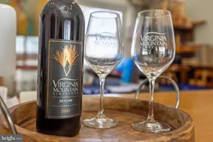 4204 Old Fincastle Rd, Fincastle, VA 24090 - Photo 49