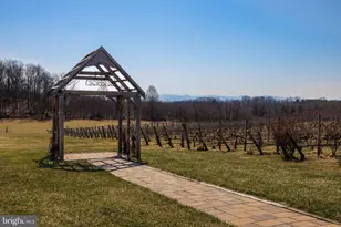 4204 Old Fincastle Rd, Fincastle, VA 24090 - Photo 71