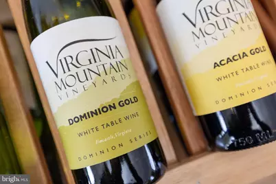 4204 Old Fincastle Rd, Fincastle, VA 24090 - Photo 47