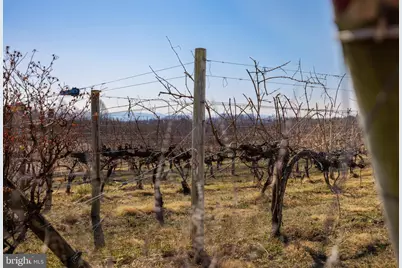 4204 Old Fincastle Rd, Fincastle, VA 24090 - Photo 73