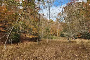 14429 Fox Knoll Dr, South Chesterfield, VA 23834 - Photo 67