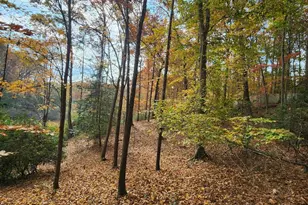 14429 Fox Knoll Dr, South Chesterfield, VA 23834 - Photo 69