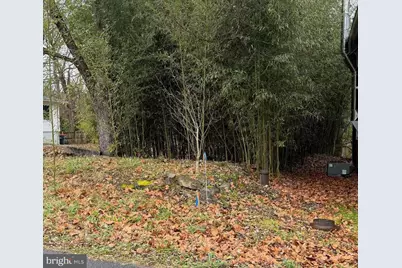 Millwood Road, Boyce, VA 22620 - Photo 3