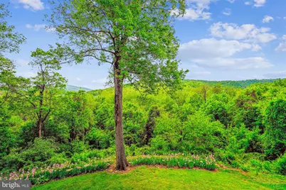 245 River House Lane, Boyce, VA 22620 - Photo 41