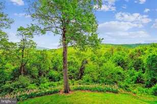 245 River House Ln, Boyce, VA 22620 - Photo 41