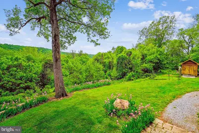 245 River House Lane, Boyce, VA 22620 - Photo 47