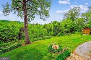 245 River House Ln, Boyce, VA 22620 - Photo 47