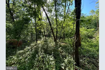 O Howellsville Road, Boyce, VA 22620 - Photo 1