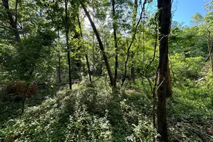 O Howellsville Rd, Boyce, VA 22620 - Photo 1