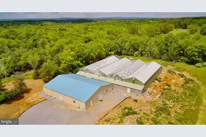 1070 Wadesville Road, Berryville, VA 22611 - Photo 3