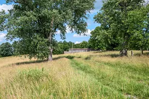 1741 Parshall Rd, Berryville, VA 22611 - Photo 83