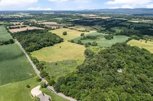 1741 Parshall Rd, Berryville, VA 22611 - Photo 93