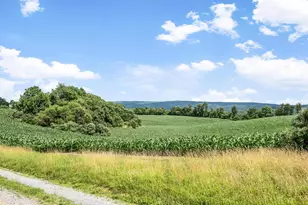 1741 Parshall Rd, Berryville, VA 22611 - Photo 79