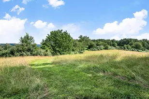 1741 Parshall Rd, Berryville, VA 22611 - Photo 77