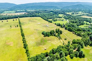 367 Kennel Rd, Boyce, VA 22620 - Photo 73
