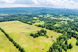 367 Kennel Rd, Boyce, VA 22620 - Photo 75