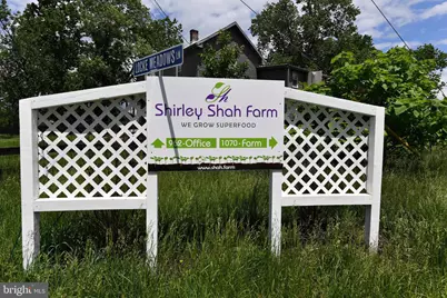 1070 Wadesville Road, Berryville, VA 22611 - Photo 5