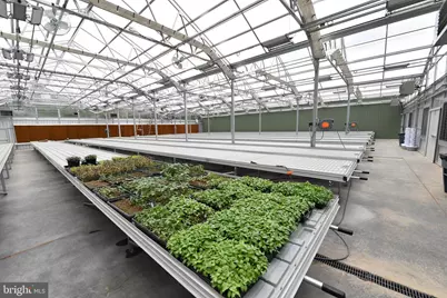 1070 Wadesville Road, Berryville, VA 22611 - Photo 13