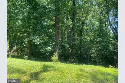 Lot 17A1 Timber Lane, Bluemont, VA 20135 - Photo 3