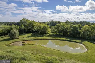 1744 Lord Fairfax Hwy, Berryville, VA 22611 - Photo 83