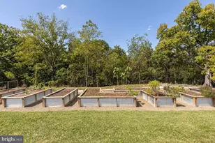 1744 Lord Fairfax Hwy, Berryville, VA 22611 - Photo 57