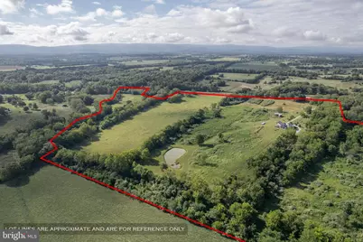 1744 Lord Fairfax Highway, Berryville, VA 22611 - Photo 49