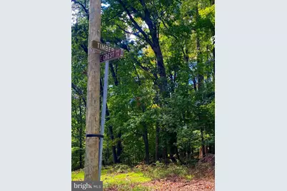 17A1-5-15 Timber Ln, Bluemont, VA 20135 - Photo 5