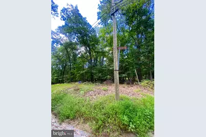 17A1-5-15 Timber Ln, Bluemont, VA 20135 - Photo 7