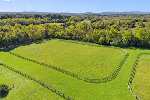 1077 Ginns Rd, Boyce, VA 22620 - Photo 125