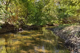 1077 Ginns Rd, Boyce, VA 22620 - Photo 131