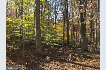 Cliff Lane, Bluemont, VA 20135 - Photo 1