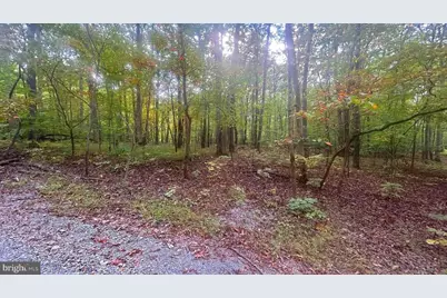 Cliff Lane, Bluemont, VA 20135 - Photo 9