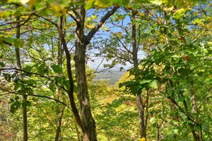 9533 Howellsville Rd, Boyce, VA 22620 - Photo 47
