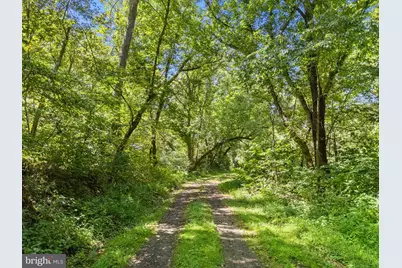 9533 Howellsville Road, Boyce, VA 22620 - Photo 49