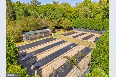 9533 Howellsville Road, Boyce, VA 22620 - Photo 57