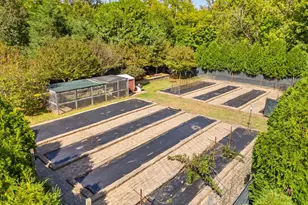 9533 Howellsville Rd, Boyce, VA 22620 - Photo 57