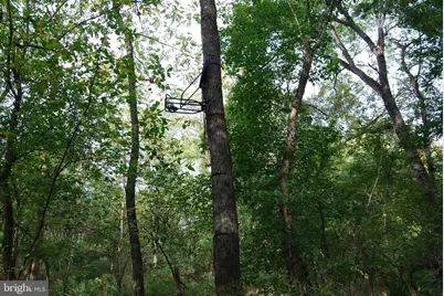 2983 Old Winchester Road, Boyce, VA 22620 - Photo 25