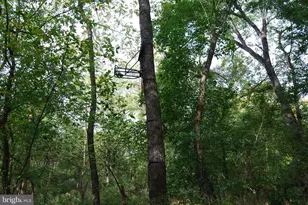 2983 Old Winchester Rd, Boyce, VA 22620 - Photo 25