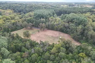 2983 Old Winchester Rd, Boyce, VA 22620 - Photo 17