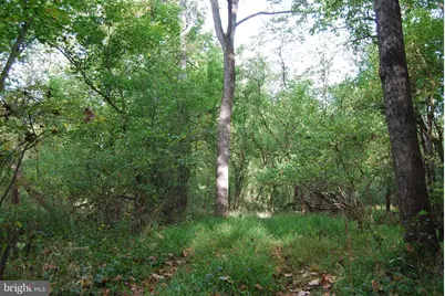 2983 Old Winchester Road, Boyce, VA 22620 - Photo 33