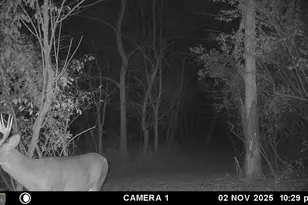 2983 Old Winchester Rd, Boyce, VA 22620 - Photo 87