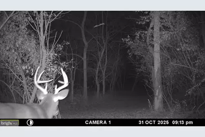 2983 Old Winchester Road, Boyce, VA 22620 - Photo 85