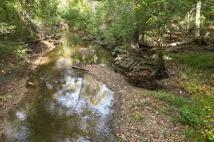 2983 Old Winchester Rd, Boyce, VA 22620 - Photo 11